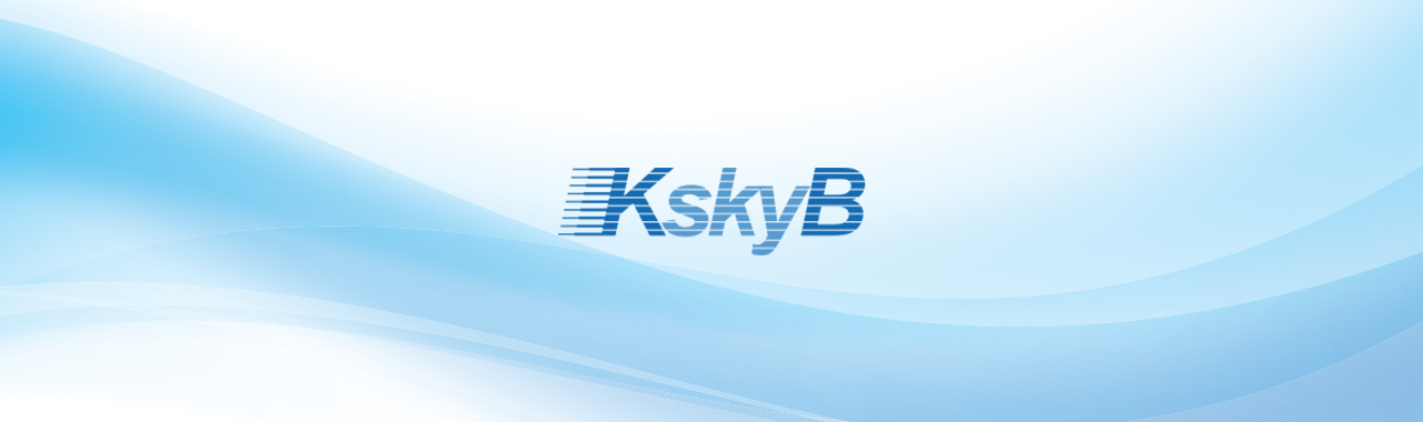 ㈜케이스카이비 대표이사